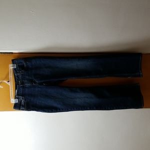 Banana Republic Size 8 bootcut